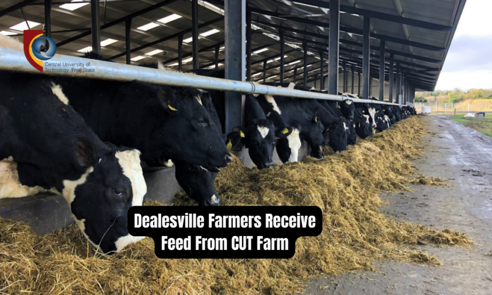 Dealesville Farmers Receive Feed From CUT Farm